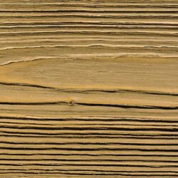 Festool četka Rustilon BG 80